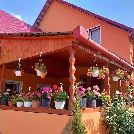 Casa Florilor Ubytování v soukromí Barcut