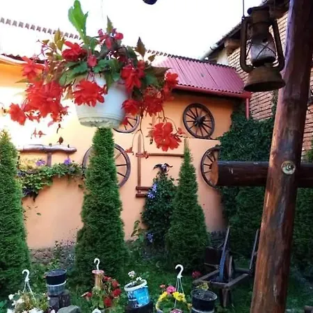 Casa Florilor *