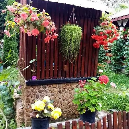 Ubytování v soukromí Casa Florilor Barcut