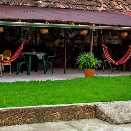 Casa Florilor Barcut