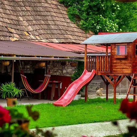 Casa Florilor Barcut