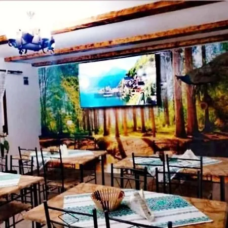 Ubytování v soukromí Casa Florilor