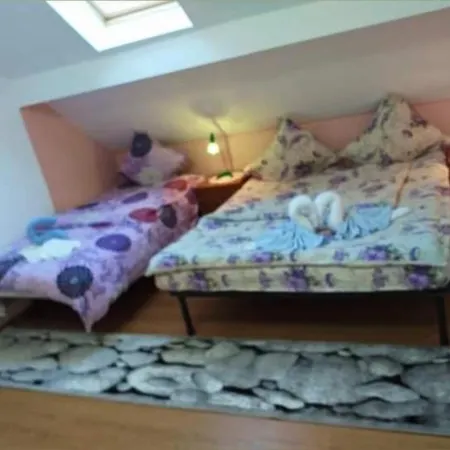 Ubytování v soukromí Casa Florilor *
